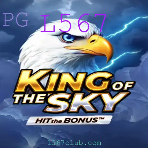 KingOfTheSky: Uma Jornada Aérea Inesquecível